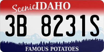 ID license plate 3B8231S
