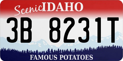 ID license plate 3B8231T