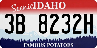 ID license plate 3B8232H