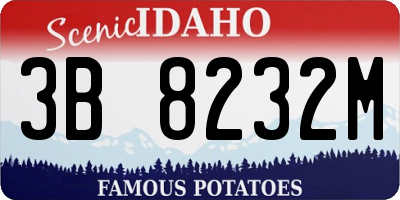 ID license plate 3B8232M