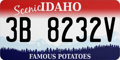 ID license plate 3B8232V