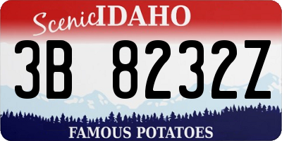 ID license plate 3B8232Z
