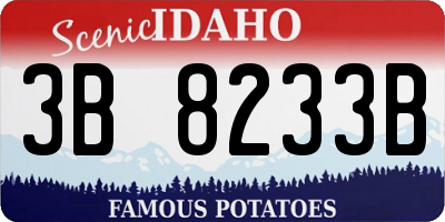 ID license plate 3B8233B