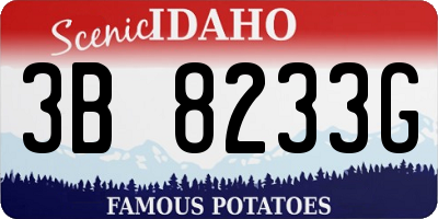 ID license plate 3B8233G