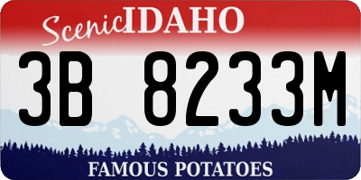 ID license plate 3B8233M