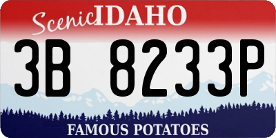 ID license plate 3B8233P