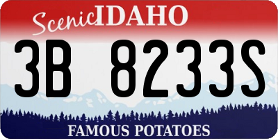 ID license plate 3B8233S