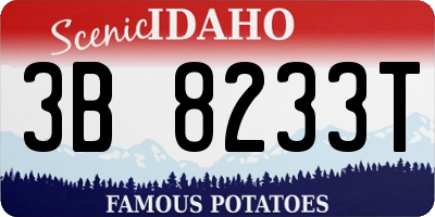 ID license plate 3B8233T