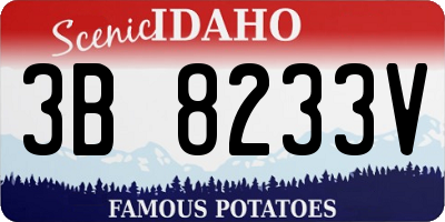 ID license plate 3B8233V