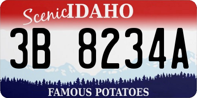 ID license plate 3B8234A