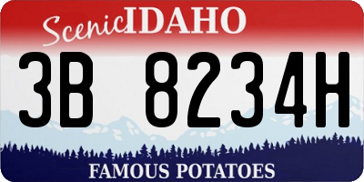 ID license plate 3B8234H