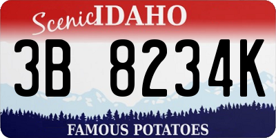 ID license plate 3B8234K