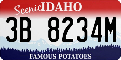 ID license plate 3B8234M