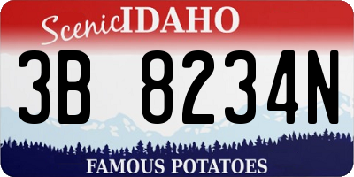 ID license plate 3B8234N