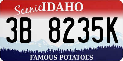 ID license plate 3B8235K