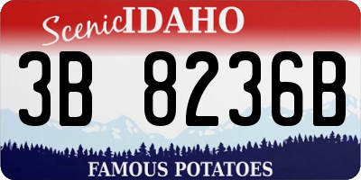ID license plate 3B8236B
