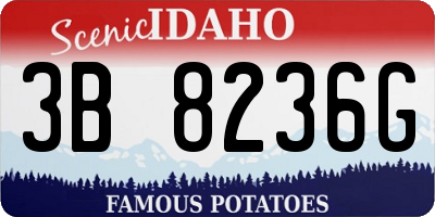 ID license plate 3B8236G