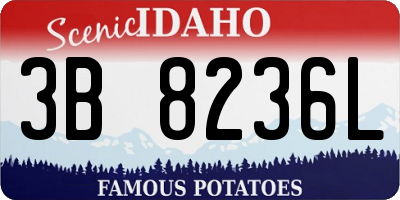 ID license plate 3B8236L