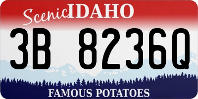 ID license plate 3B8236Q