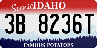 ID license plate 3B8236T