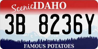 ID license plate 3B8236Y