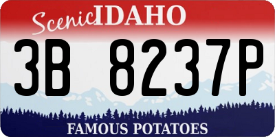 ID license plate 3B8237P
