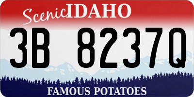 ID license plate 3B8237Q