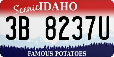 ID license plate 3B8237U