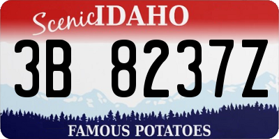 ID license plate 3B8237Z