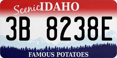 ID license plate 3B8238E