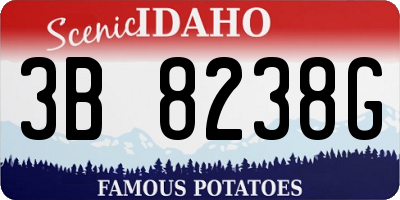 ID license plate 3B8238G