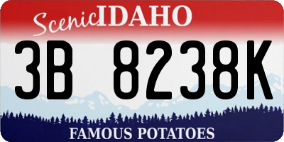 ID license plate 3B8238K