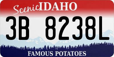 ID license plate 3B8238L