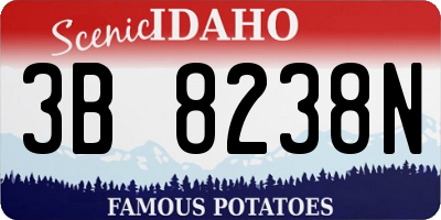 ID license plate 3B8238N
