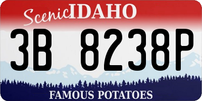 ID license plate 3B8238P