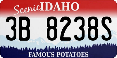 ID license plate 3B8238S