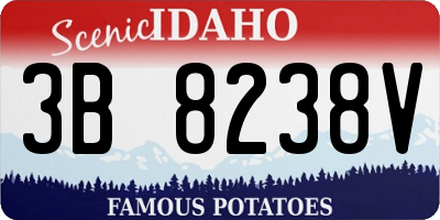ID license plate 3B8238V
