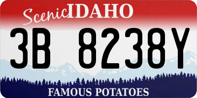 ID license plate 3B8238Y