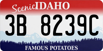 ID license plate 3B8239C