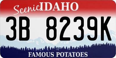 ID license plate 3B8239K