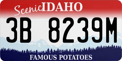 ID license plate 3B8239M