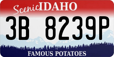 ID license plate 3B8239P