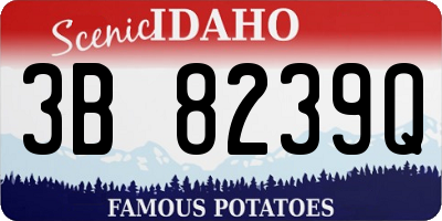 ID license plate 3B8239Q