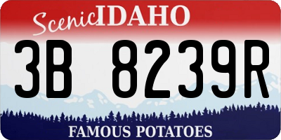 ID license plate 3B8239R