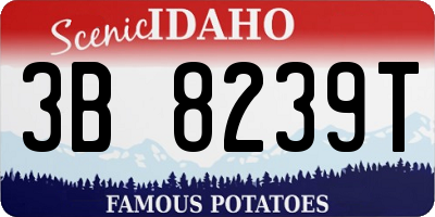 ID license plate 3B8239T