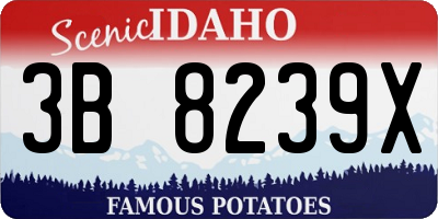 ID license plate 3B8239X