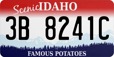 ID license plate 3B8241C