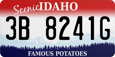 ID license plate 3B8241G