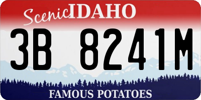 ID license plate 3B8241M