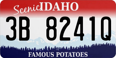 ID license plate 3B8241Q